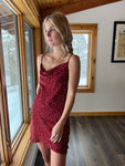 114: Polka Dot Red Dress